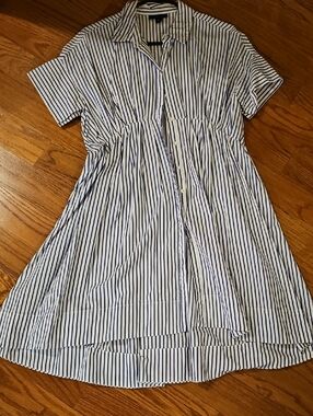 Blue and White Striped Button-Front Dress